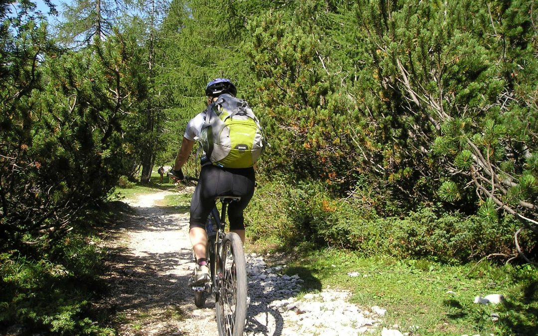 5 Top Welsh Mountain Bike Trails 2023