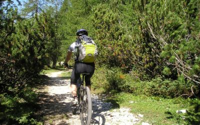 5 Top Welsh Mountain Bike Trails 2022