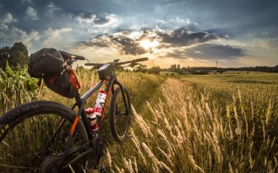 What Muscles Does Mountain Biking Work? (5 Facts)