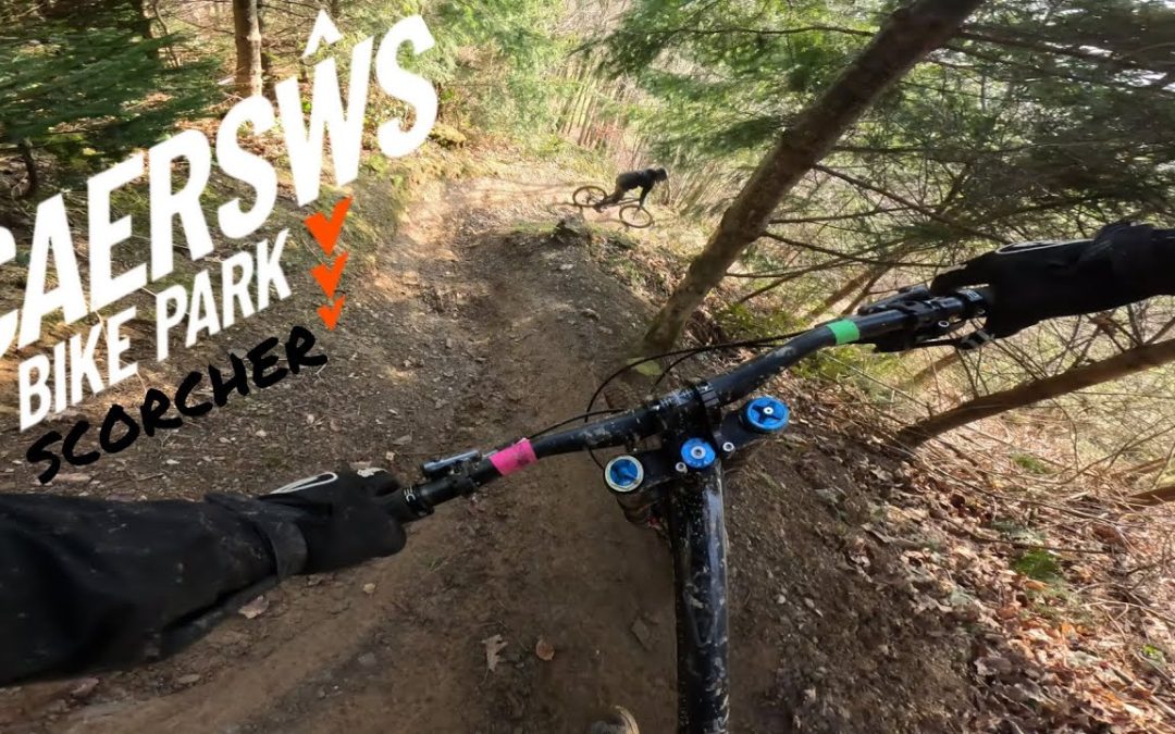 10 Things You Should Know Before Visiting Caersws Bike Park 2025